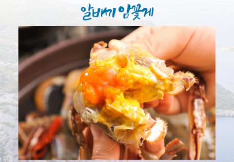 [신상-special] 알이 꽉찬 진도 암꽃게 5키로