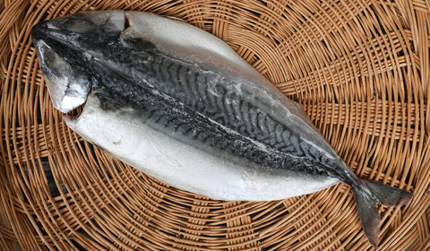 [재입고]우리 식탁에 없어서는 안되는  새로입고된 인기 생선6종! 국산 절단낙지,  노르웨이 자반고등어,  임연수, 손질오징어, 절단코다리, 순살삼치 오메가 3 드실시간입니다.